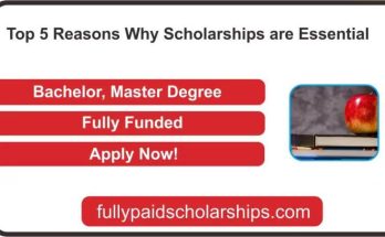 The 5 Most Important Reasons for Scholarships