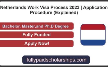 Netherlands Work Visa Process 2023 | Application Procedure (Explained)