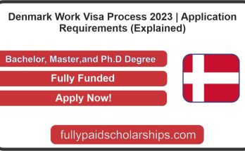 Denmark Work Visa Process 2023 | Application Requirements (Explained)