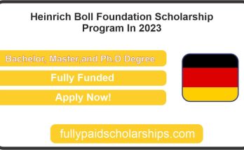 Heinrich Boll Foundation Scholarship Program In 2023