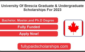 University Of Brescia Graduate & Undergraduate Scholarships For 2023