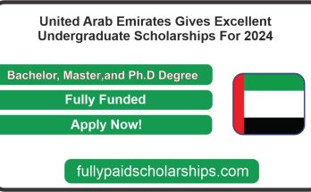 United Arab Emirates Gives Excellent Undergraduate Scholarships For 2024