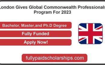 London Gives Global Commonwealth Professionals Program For 2023