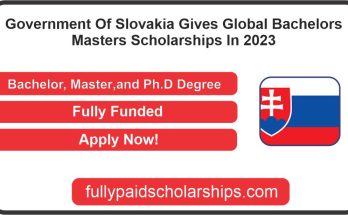 Government Of Slovakia Gives Global Bachelors & Masters Scholarships In 2023