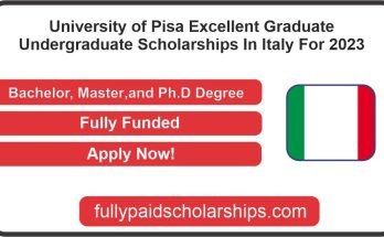 University of Pisa Excellent Graduate Undergraduate Scholarships In Italy For 2023
