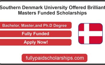 Southern Denmark University Offered Brilliant Masters Funded Scholarships Program In 2023