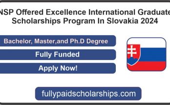 NSP Offered Excellence International Graduate Scholarships Program In Slovakia 2024