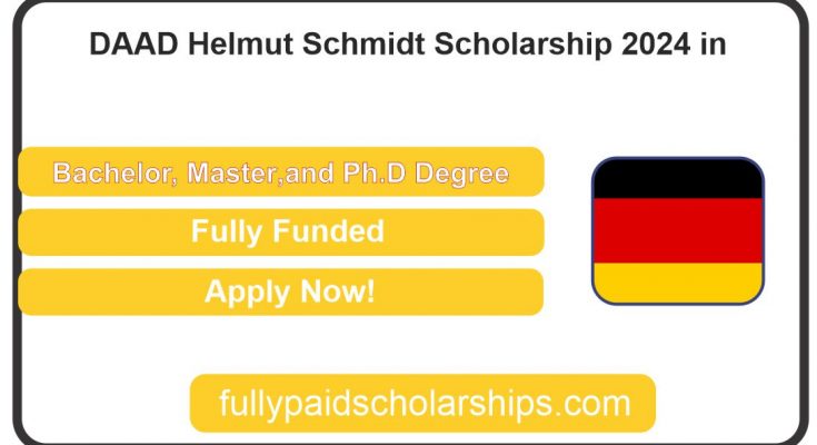 DAAD Helmut Schmidt Scholarship