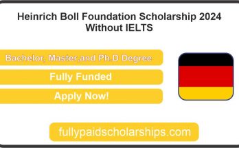 Heinrich Boll Foundation Scholarship