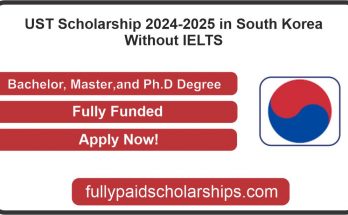 UST Scholarship 2024
