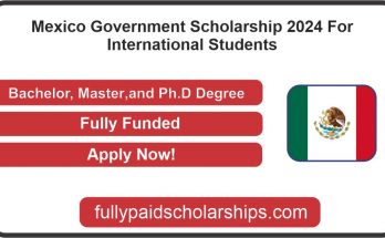 Mexico Government Scholarship 2024