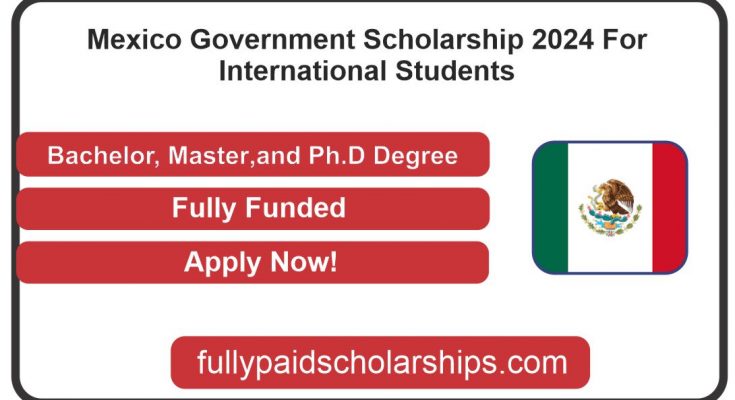 Mexico Government Scholarship 2024