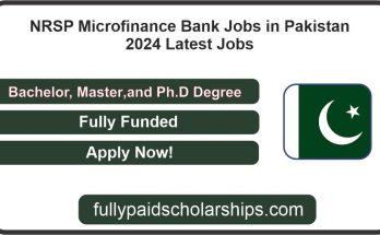 NRSP Microfinance Bank Jobs