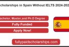 Scholarships in Spain