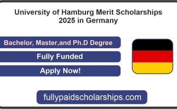 Hamburg Merit Scholarships