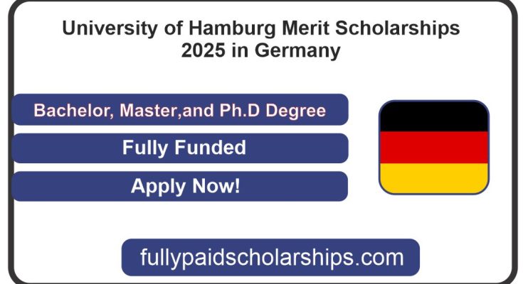 Hamburg Merit Scholarships