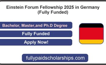 Einstein Forum Fellowship