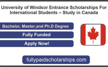 Windsor Entrance Scholarships